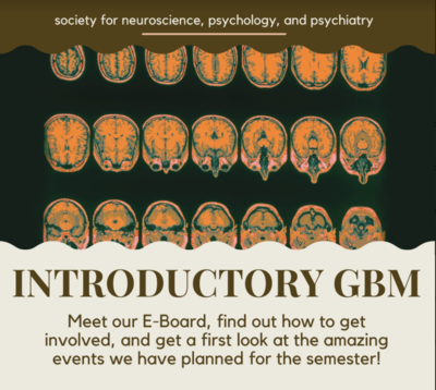 The background is light brown and there is an image in the top half of the flyer that is a series of brain scans. The words Introductory GBM are in all caps under this image. The bottom of the flyer states, "Meet our E-Board, find out how to get involved, and get a first look at the amazing events we have planned for this semester!"